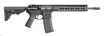 RAIDERM556 SBR-350